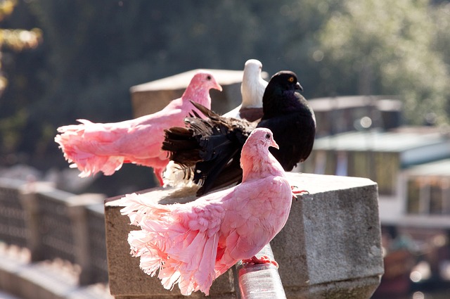 今天是北京时间2025年11月23日星期日,欢迎收看早报！